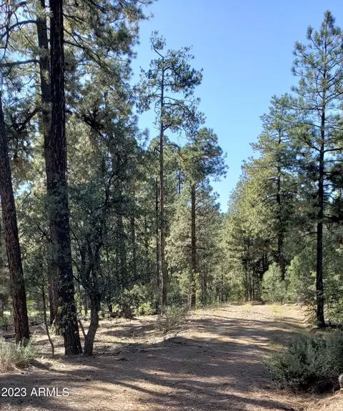 155 E Nail Ranch Rd #-, Young, AZ 85554 photo 7