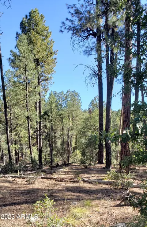155 E Nail Ranch Rd #-, Young, AZ 85554 photo 3