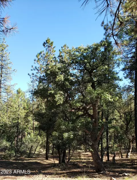 155 E Nail Ranch Rd #-, Young, AZ 85554 photo 4