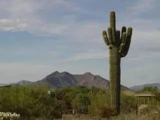 7000 E Lowden Dr #-, Scottsdale, AZ 85266