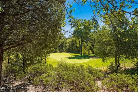 705 N Grapevine Dr, Payson, AZ 85541 photo 45