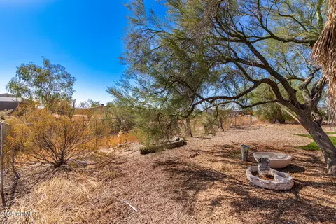 123 S Royal Palm Rd, Apache Junction, AZ 85119 photo 30