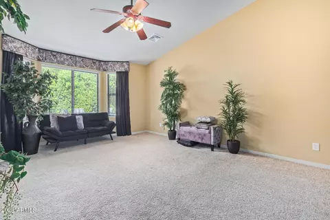 244 W 14th Ave, Apache Junction, AZ 85120 photo 25