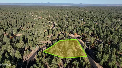 5376 Tamarron Dr #98, Happy Jack, AZ 86024