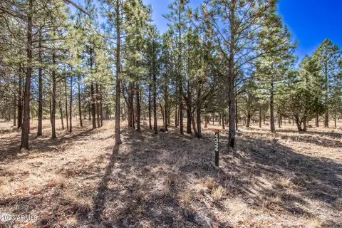 4326 Timberline Dr #142, Happy Jack, AZ 86024