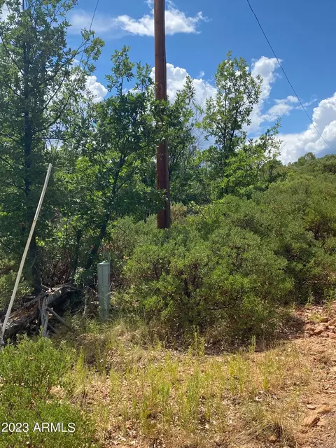 6285 Loggers Ln #375, Show Low, AZ 85901
