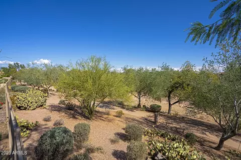 22009 N 45th Pl, Phoenix, AZ 85050 photo 19