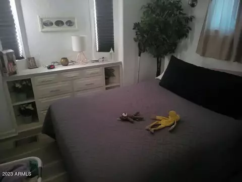146 N Merrill Rd #169, Apache Junction, AZ 85120 photo 8