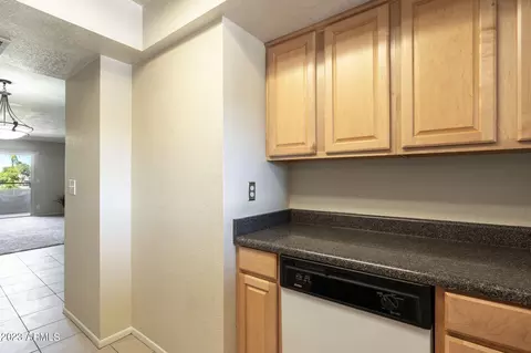 4050 E Cactus Rd #207, Phoenix, AZ 85032 photo 9
