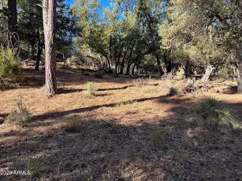 3422 N Meadow Dr #85, Pine, AZ 85544 photo 4