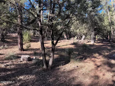 3422 N Meadow Dr #85, Pine, AZ 85544 photo 3