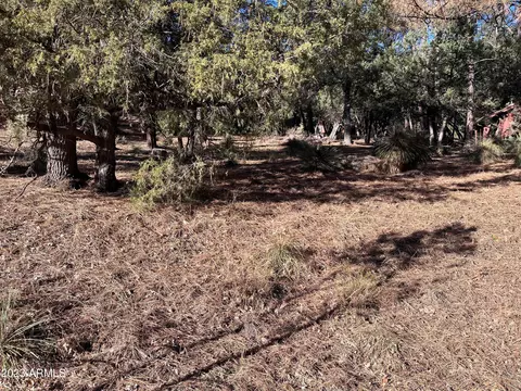 3422 N Meadow Dr #85, Pine, AZ 85544