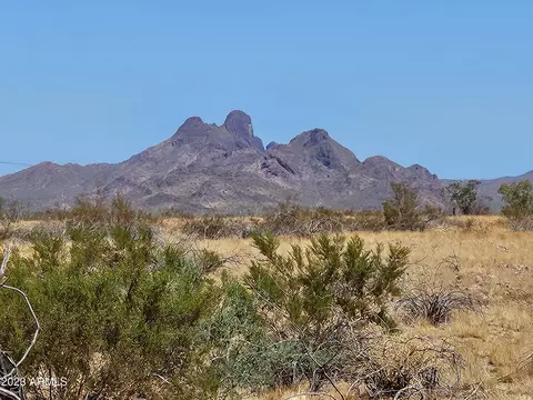 3100 W Forest Pleasant Pl #87, Wittmann, AZ 85361