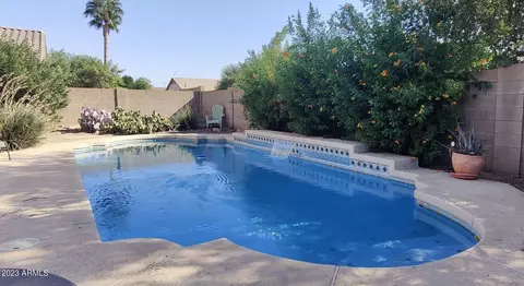 11119 E Wier Ave, Mesa, AZ 85208 photo 10