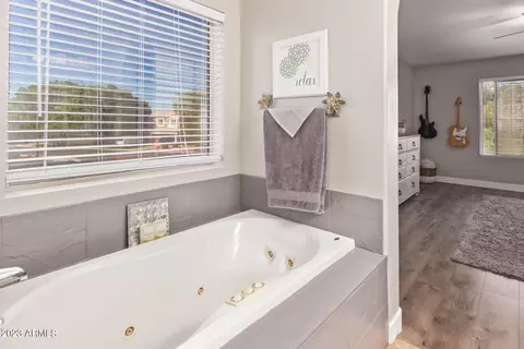 884 W Shellfish Dr, Gilbert, AZ 85233 photo 21