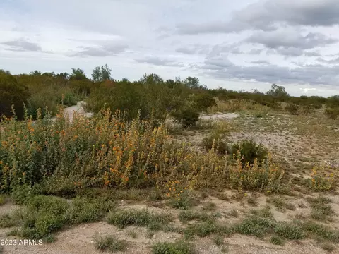 lot17 W Beggs Rd #17, Stanfield, AZ 85172