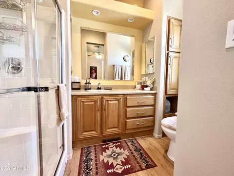 869 S Motherlode Dr, Apache Junction, AZ 85119 photo 63