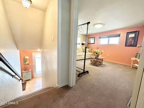 869 S Motherlode Dr, Apache Junction, AZ 85119 photo 68