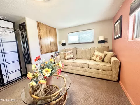 869 S Motherlode Dr, Apache Junction, AZ 85119 photo 72