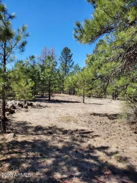138 S Kaibab Ave #-, Parks, AZ 86018