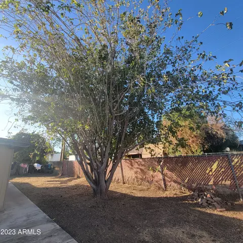 1622 E 2nd Ave, Mesa, AZ 85204 photo 29