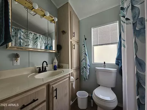 8700 E University Dr #1006, Mesa, AZ 85207 photo 19