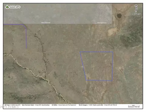 124 Flea Flicker -- #124, Wikieup, AZ 85360