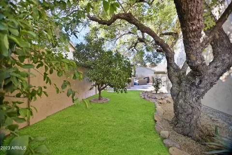 2955 E Brooks St, Gilbert, AZ 85296 photo 26