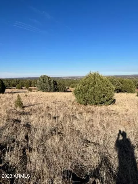 tbd Colt Ln #-, Show Low, AZ 85901