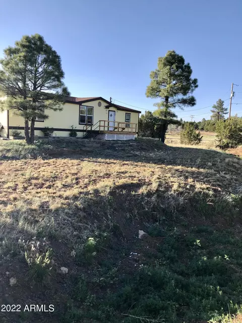 1142 S Lone Pine Dam Rd, Show Low, AZ 85901