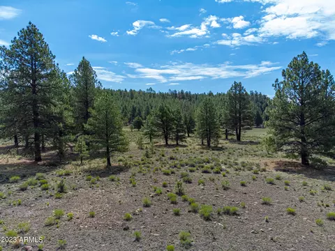 11520 W Beatons East Rd #-, Bellemont, AZ 86015