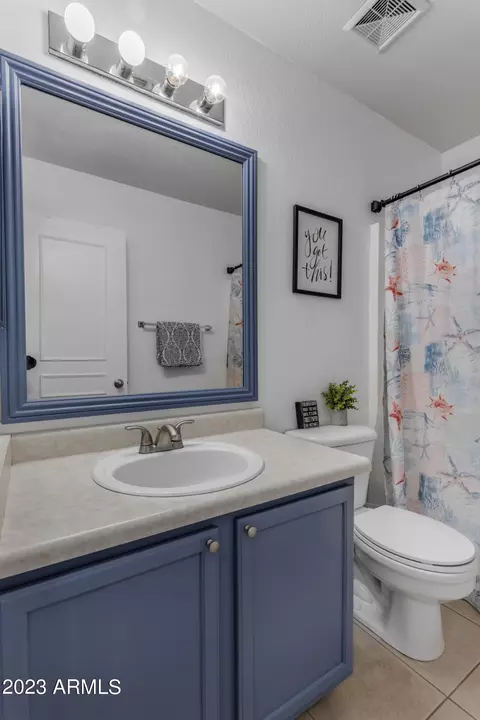 Bath - 11532 E Quade Ave, Mesa, AZ 85212 photo 3 of 3