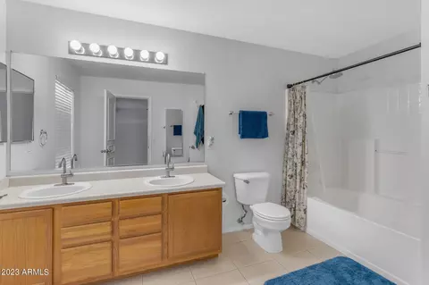Bath - 11532 E Quade Ave, Mesa, AZ 85212 photo 2 of 3