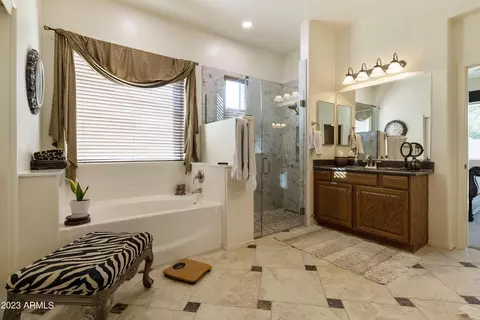 Bath - 8543 E Princess Cir, Mesa, AZ 85207 photo 1 of 4