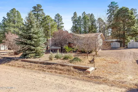 2868 Wilderness Dr, Overgaard, AZ 85933 photo 20
