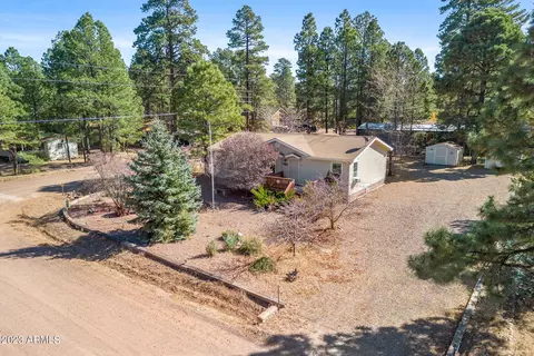 2868 Wilderness Dr, Overgaard, AZ 85933 photo 21