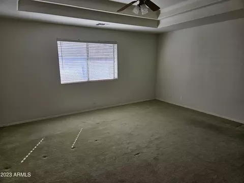11517 E Mendoza Ave, Mesa, AZ 85209 photo 9