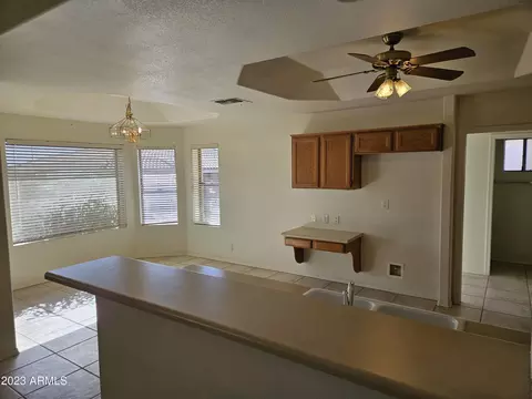 11517 E Mendoza Ave, Mesa, AZ 85209 photo 5