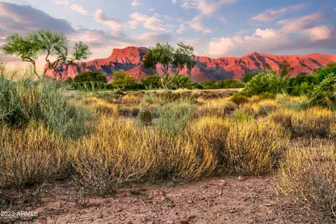7274 E Wilderness Trl #15, Gold Canyon, AZ 85118