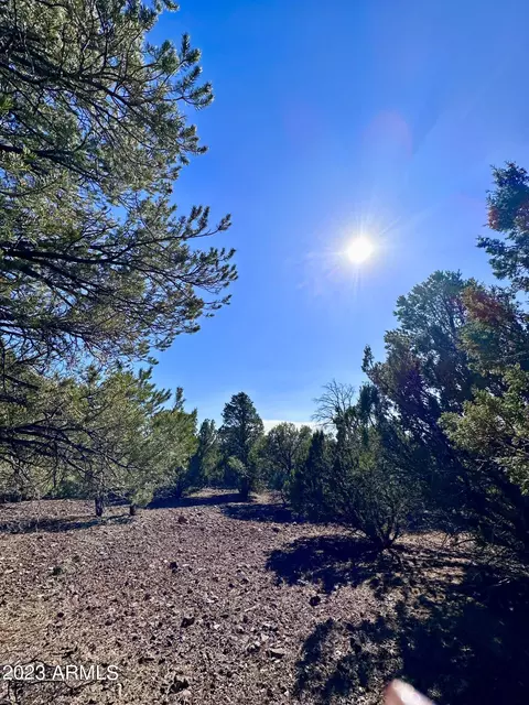 tbd County Rd N3029 -- #11, Vernon, AZ 85940