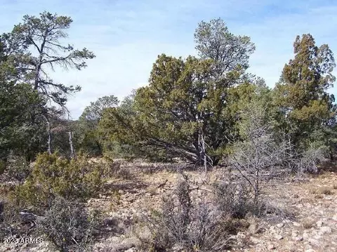 8600 Haven Crest Dr #226, Happy Jack, AZ 86024