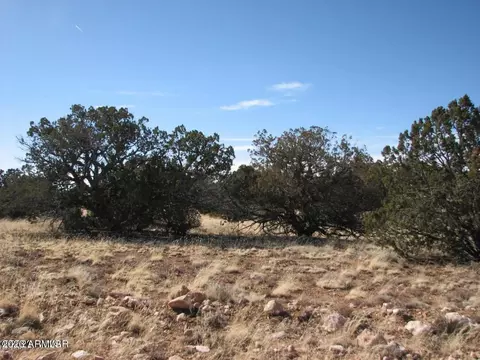 sec 8 t14n, Heber, AZ 85928