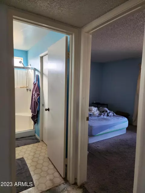 4101 E Mandan St, Phoenix, AZ 85044 photo 28