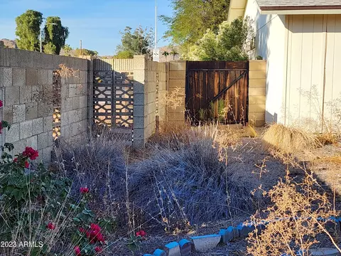 4101 E Mandan St, Phoenix, AZ 85044 photo 46