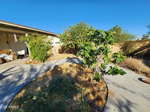 4101 E Mandan St, Phoenix, AZ 85044 photo 49
