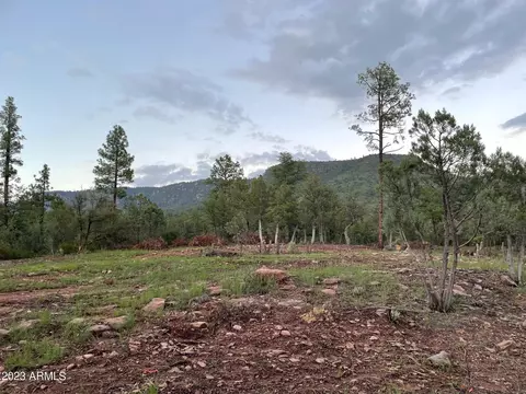 3496 N Mistletoe Dr #217A, Pine, AZ 85544 photo 14