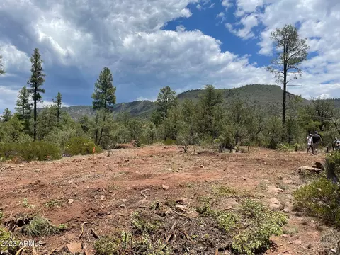 3496 N Mistletoe Dr #217A, Pine, AZ 85544 photo 8