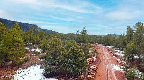 3496 N Mistletoe Dr #217A, Pine, AZ 85544 photo 2