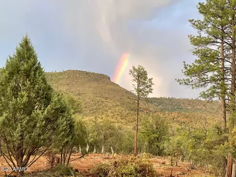 3496 N Mistletoe Dr #217A, Pine, AZ 85544 photo 9