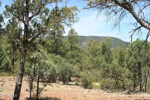 3496 N Mistletoe Dr #217A, Pine, AZ 85544 photo 15